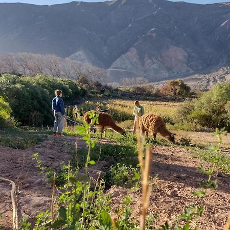 Dormir Con Llamas Maimara Luaran gambar