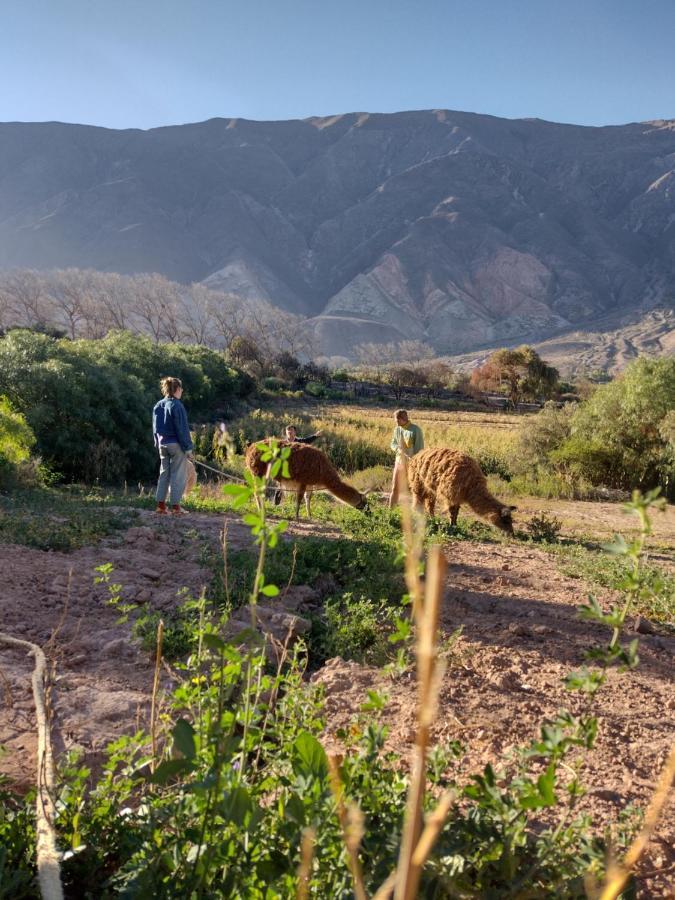 Dormir Con Llamas Maimara Luaran gambar
