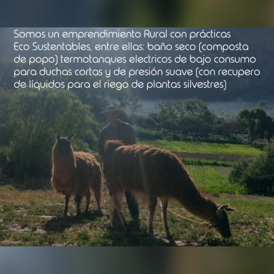 Dormir Con Llamas Maimara Luaran gambar
